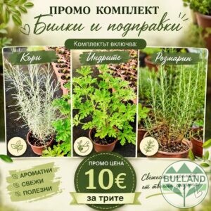 Промо комплект Билки и подправки - 2