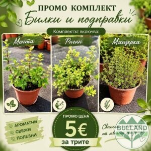 Промо комплект Билки и подправки - 1